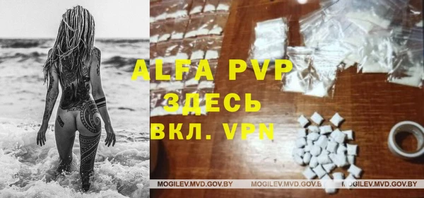 сатива Алексин