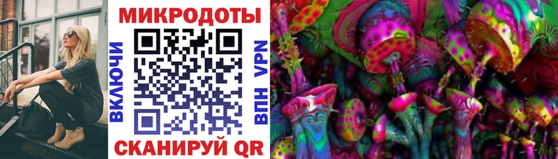 что такое наркотик  Пролетарск  блэк спрут ONION  Галлюциногенные грибы Magic Shrooms 