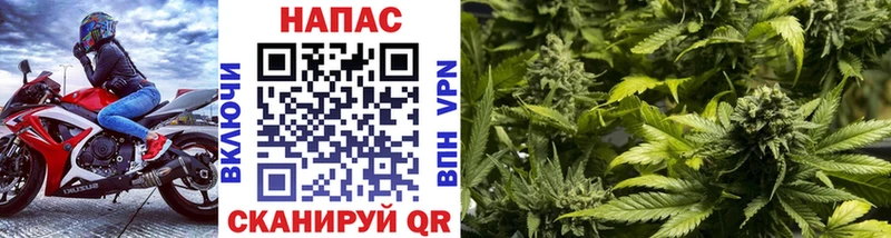 МАРИХУАНА индика Пролетарск